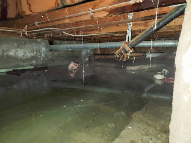 Best Ceiling water damage repair  in Haw River, NC