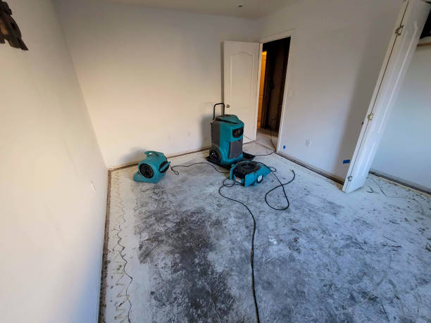 Best Ceiling water damage repair  in Haw River, NC