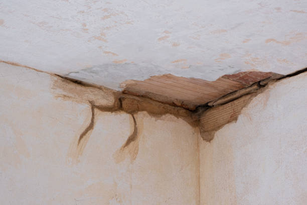 Best Basement water damage restoration  in Haw River, NC