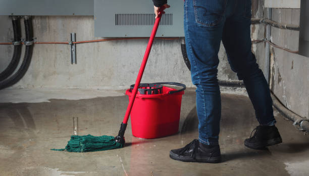 Best Flood restoration services  in Haw River, NC