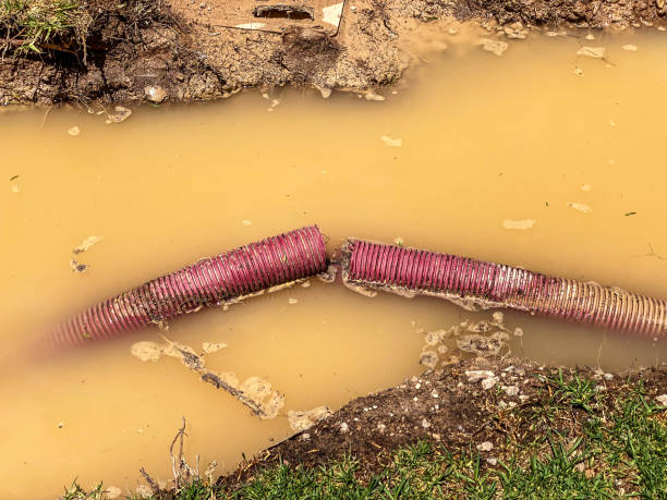 Best 24/7 water damage repair  in Haw River, NC