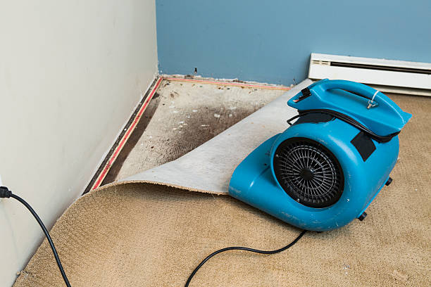 Best Commercial water damage restoration  in Haw River, NC